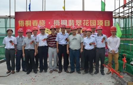 梧桐春晓喜封金顶