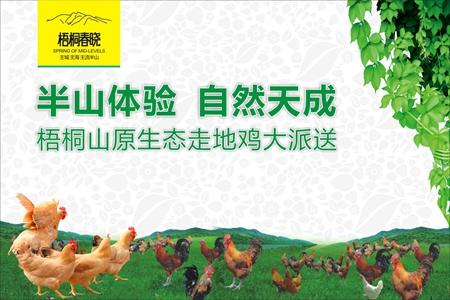 梧桐春晓举办走地鸡大派送、砸金蛋活动